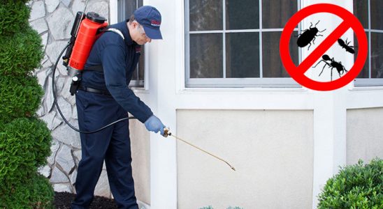 Zara Fare İlaçlama böcek ilaçlama ve haşere kontrolü — ilaclama-tr.com